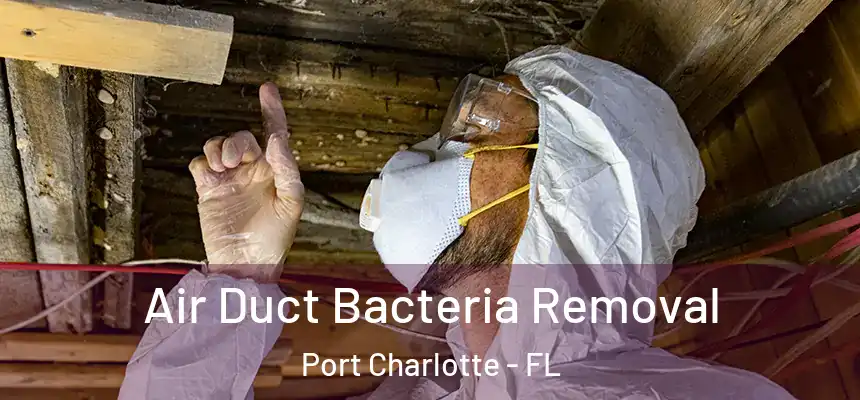 Air Duct Bacteria Removal Port Charlotte - FL