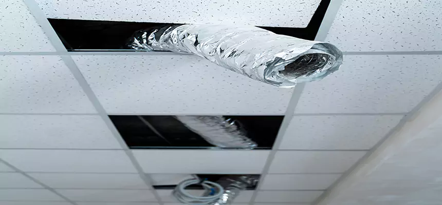 Affordable HVAC Sanitizing After Pest Removal in Port Charlotte