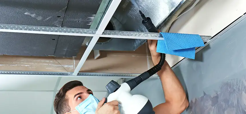 Our Air Duct Rodent Removal Services in Port Charlotte, FL
