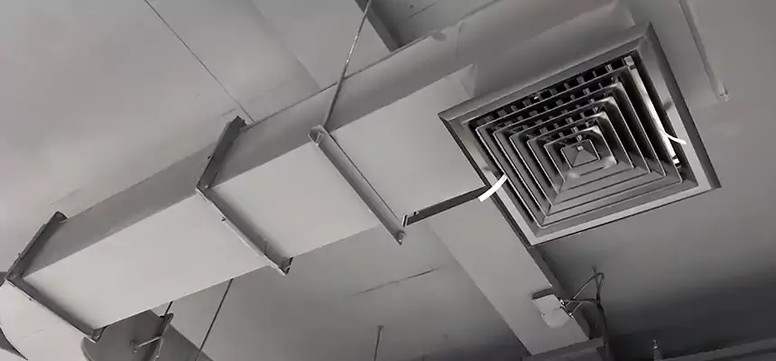 Restorative Allergy Relief Vent Cleaning – Coil, Blower & Housing Detail in Port Charlotte