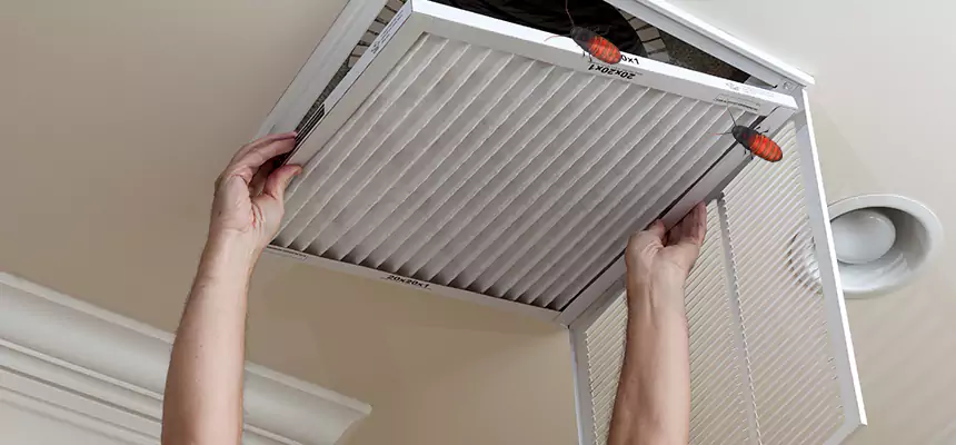Our Insect Removal from Air Ducts Services in Port Charlotte, FL