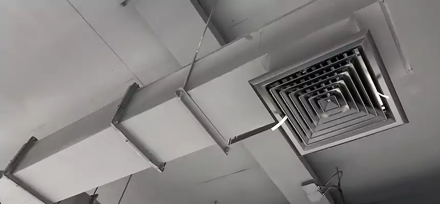 Our Rodent Droppings In Vents Services in Port Charlotte, FL