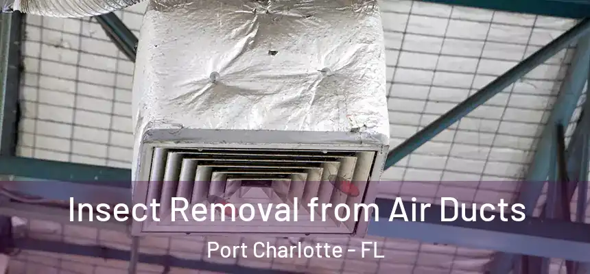 Insect Removal from Air Ducts Port Charlotte - FL