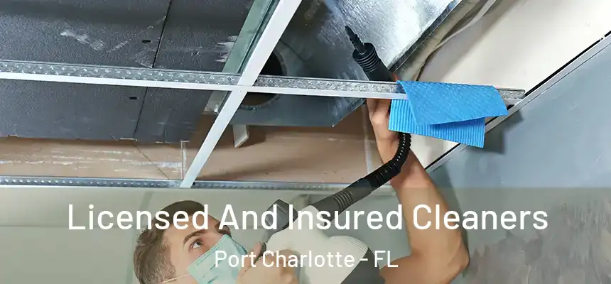 Licensed And Insured Cleaners Port Charlotte - FL