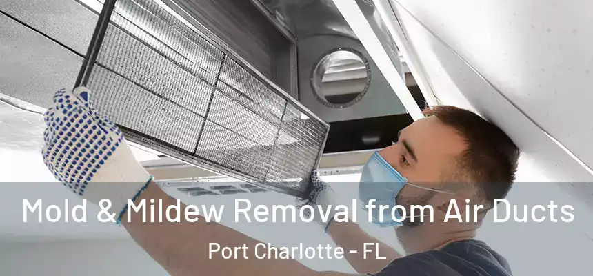 Mold & Mildew Removal from Air Ducts Port Charlotte - FL