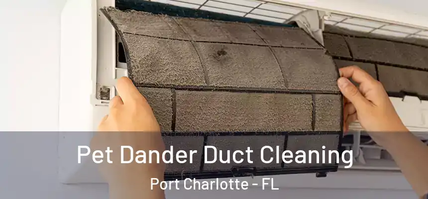 Pet Dander Duct Cleaning Port Charlotte - FL