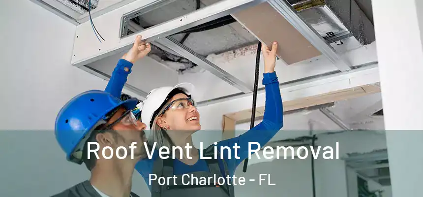 Roof Vent Lint Removal Port Charlotte - FL