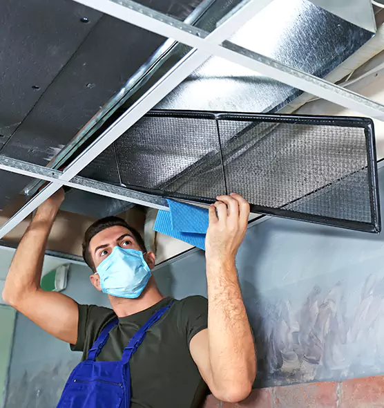 About Air Duct Bacteria Removal in Port Charlotte