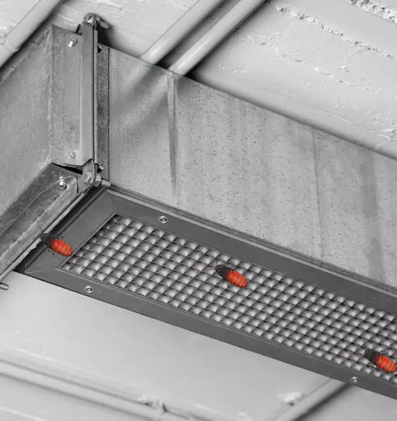 About Air Duct Cockroach Removal in Port Charlotte, FL