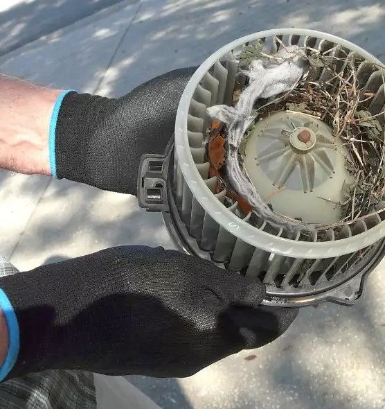 About Air Duct Mice Removal in Port Charlotte, FL