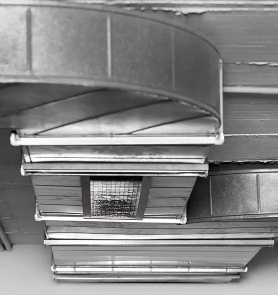 Professional Air Duct Pest Removal in Port Charlotte, FL