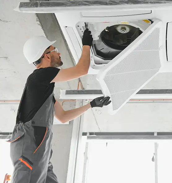 About Air Duct Rodent Removal in Port Charlotte, FL