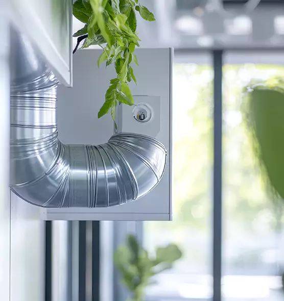 Professional Eco-Friendly Duct Cleaning Services in Port Charlotte, FL