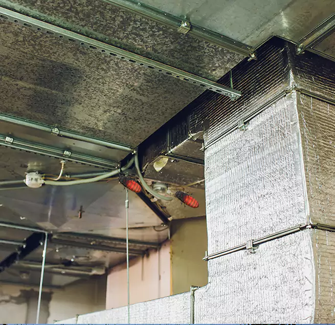 Why Homeowners & Businesses Trust Us in Port Charlotte, FL?