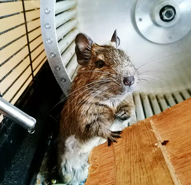 Why Homeowners & Businesses Trust Us Port Charlotte, FL?