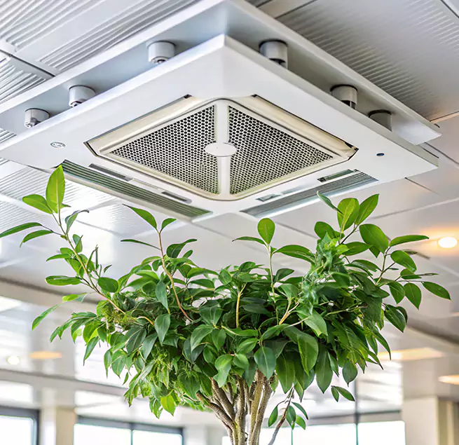 Why Homeowners & Businesses Trust Us in Port Charlotte, FL?