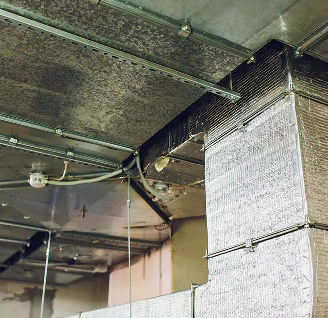 Why Homeowners & Businesses Trust Us in Port Charlotte, FL?