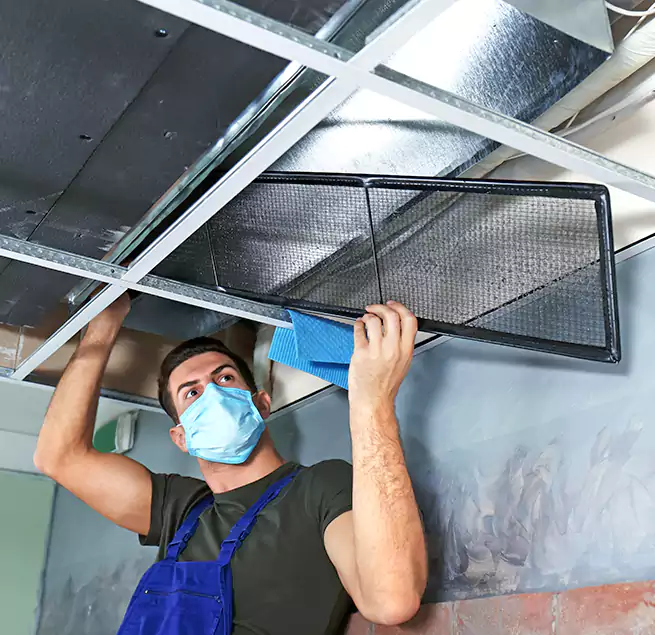 Why Homeowners Businesses Trust Us in Port Charlotte, FL